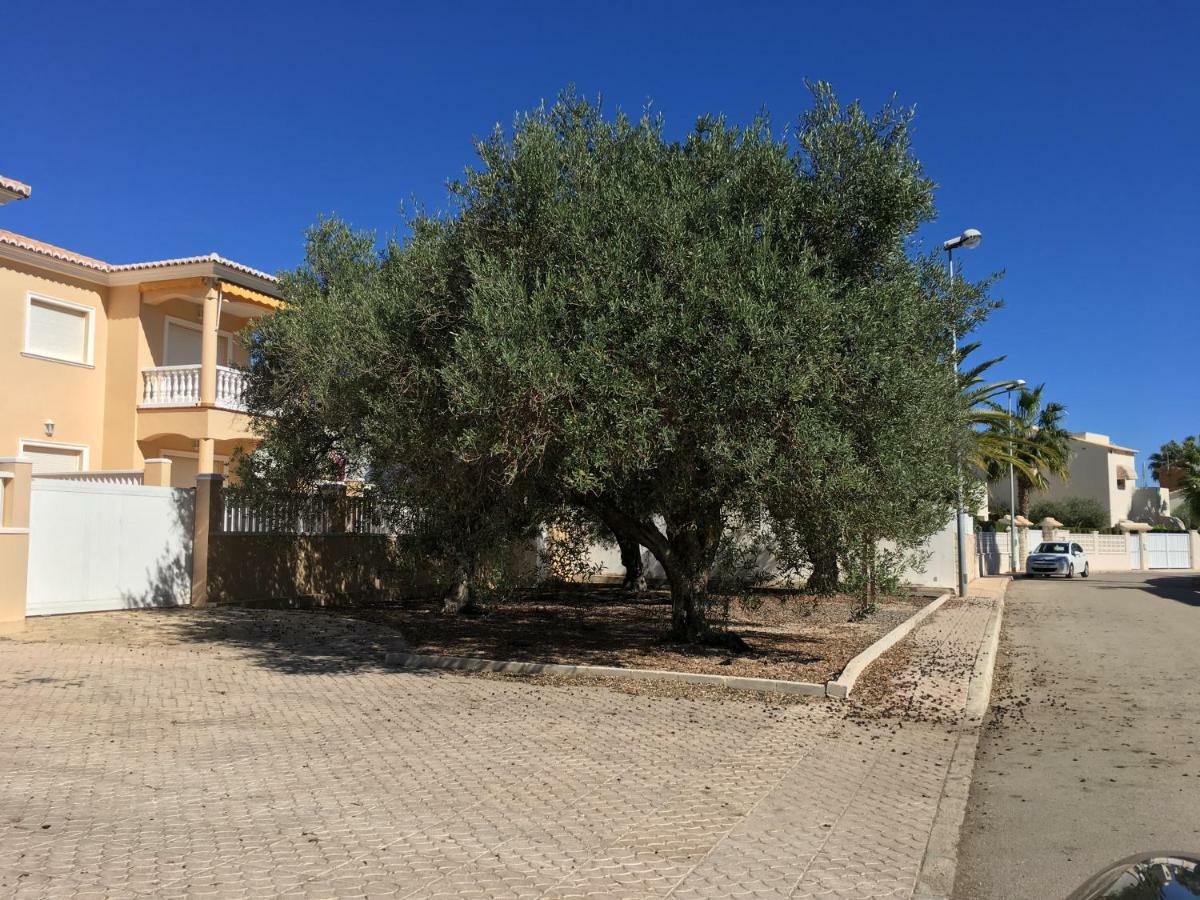 Villa Frente Al Mar Oliva Exterior foto